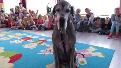 Zajęcia edukacyjne z udziałem psa