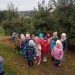 Wycieczka do sadu
