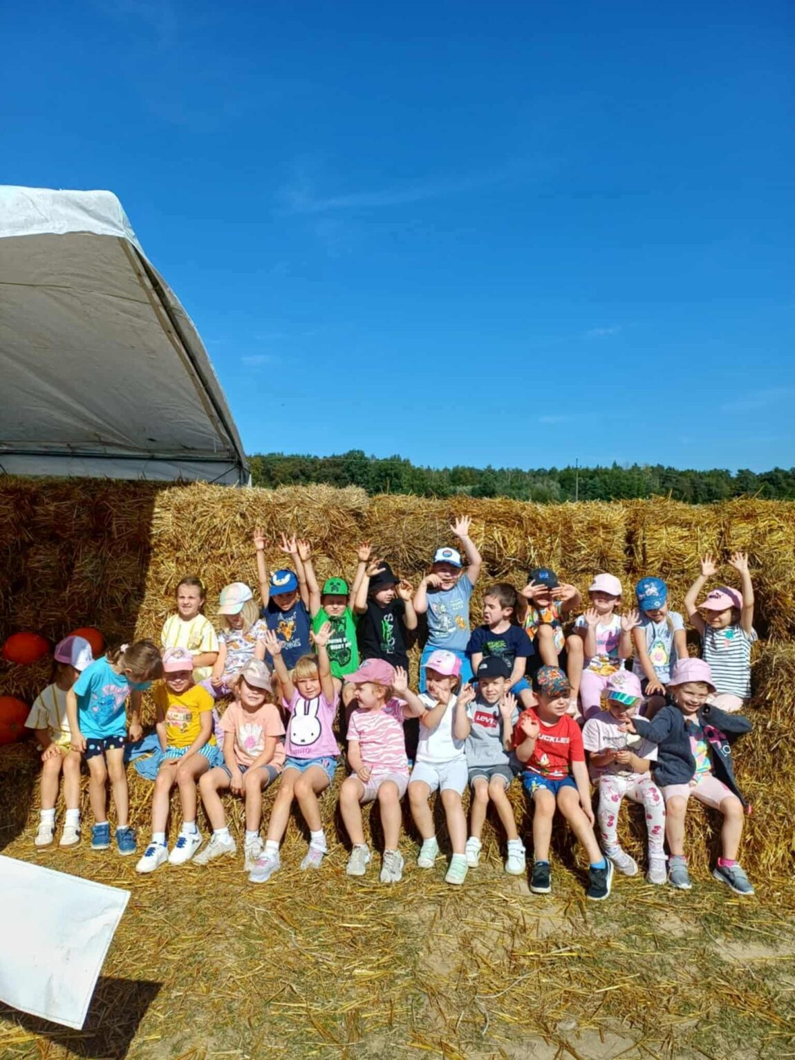 Grupa Stokrotki w Szajówce Alpaki